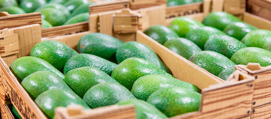 Crecimiento en la exportación de frutas posiciona al Perú