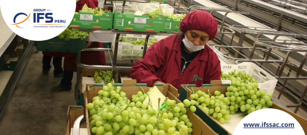 Frutas y café impulsan las agroexportaciones peruanas en el arranque del 2026