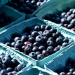 De la quinua al arándano: el ranking de los productos más viajeros
